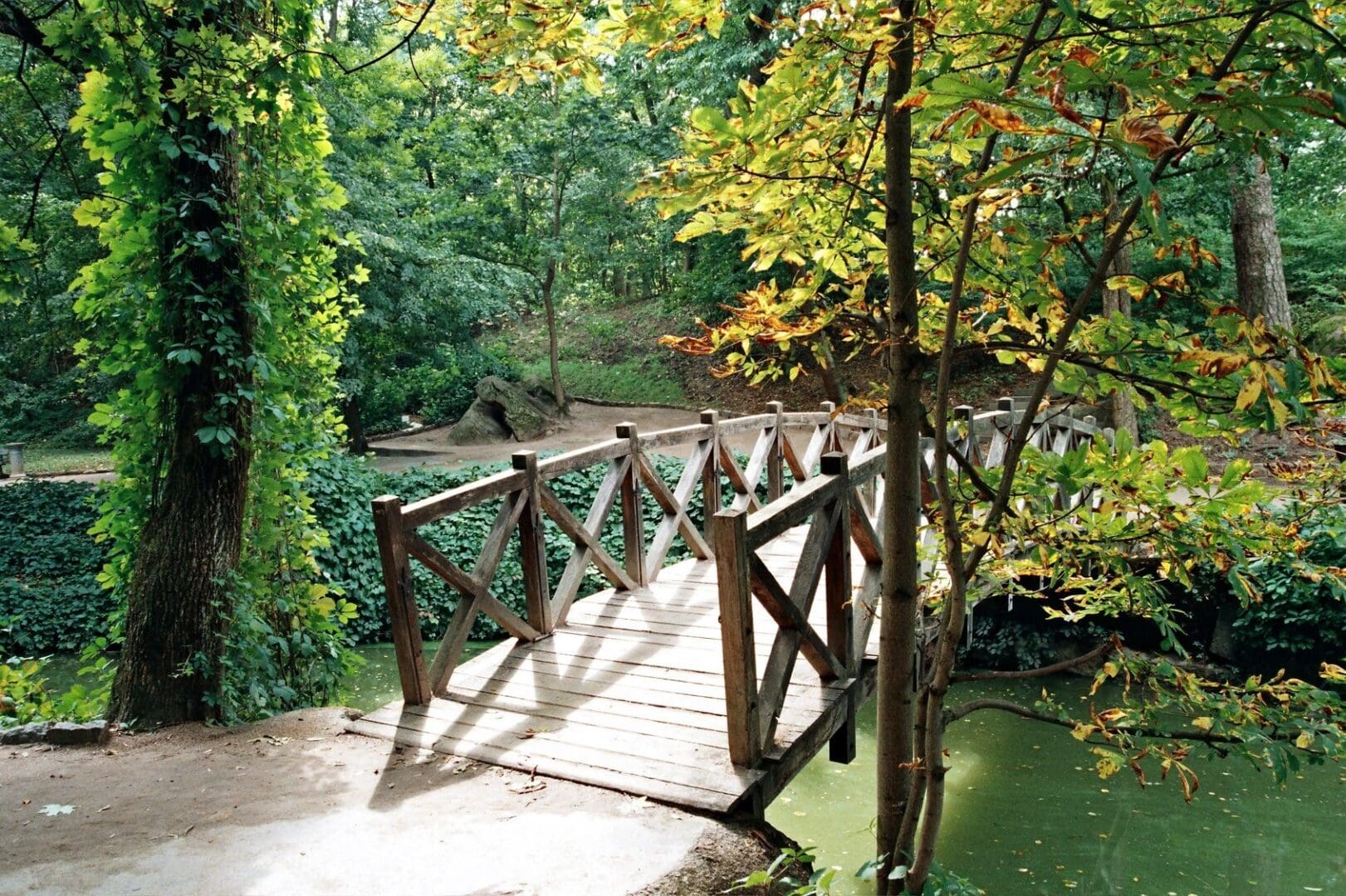 A wooden bridge over the water in a forest.